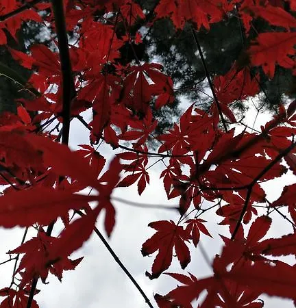 I 4 Gatti Vendégház Bologna