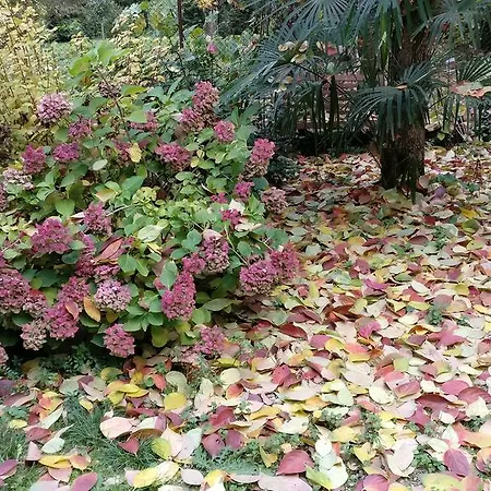 I 4 Gatti Pensionat 3*