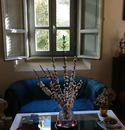 I 4 Gatti 3* بولونيا