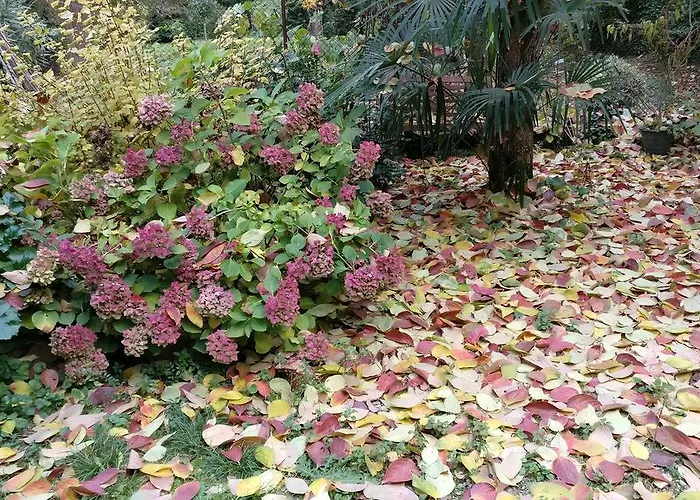 I 4 Gatti Gæstehus 3*