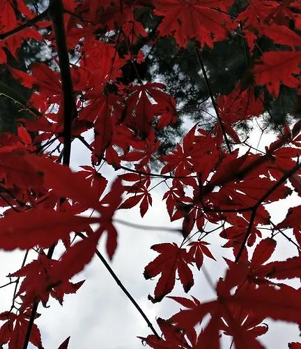 I 4 Gatti Casa de hóspedes Bolonha