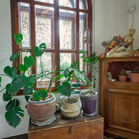 Maison d'hôtes I 4 Gatti