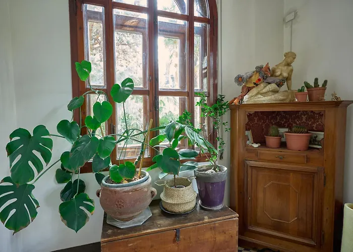 게스트하우스 I 4 Gatti