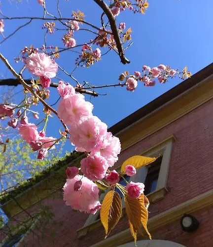 게스트하우스 I 4 Gatti